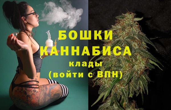 сатива Елизово