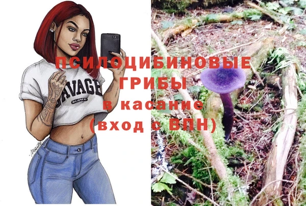 кристаллы Ельня