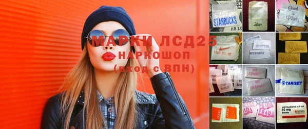 сатива Елизово